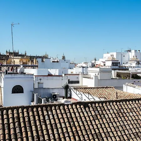 Hommyhome San Isidoro * Seville