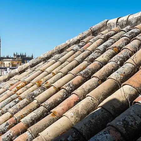 Hommyhome San Isidoro Seville